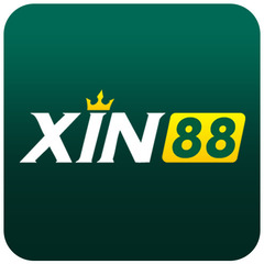 xin88 .'s profile picture