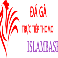 daga islam's profile picture