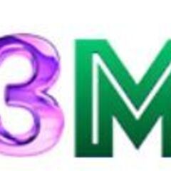 333M Site Oficial's profile picture