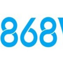 868VIP CV's profile picture