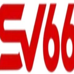 sv66team cn com's profile picture