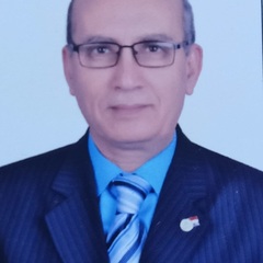 Sherif  Husseiny's profile picture