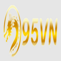 95Vn it com's profile picture