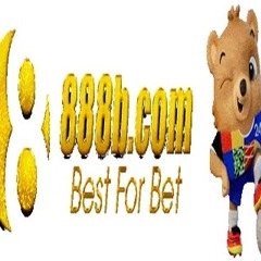 888Bj net's profile picture