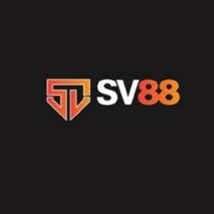 SV88 airlines's profile picture