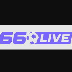 66live TV's profile picture