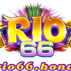 Rio 66's profile picture