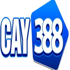 CAY388 cam's profile picture