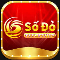 sodo boston's profile picture