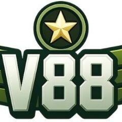 V88 page's profile picture