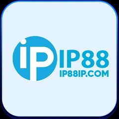 IP88 com's profile picture