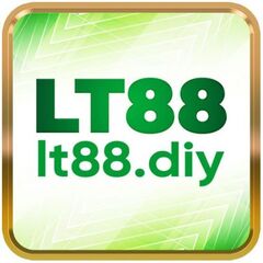 LT88 Diy's profile picture