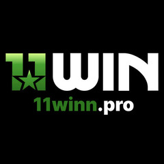 11WIN npro's profile picture