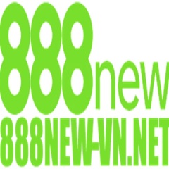 888new vn net's profile picture