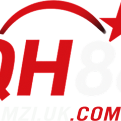 QH88 stilist's profile picture