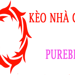 keonhacai pure's profile picture