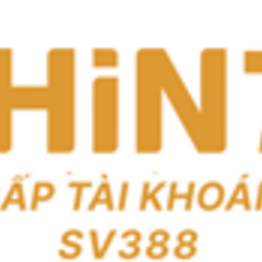khin79 net's profile picture