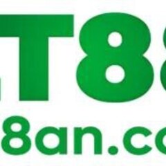 An Lt88's profile picture