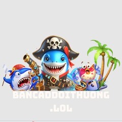 Bancadoithuong lol's profile picture