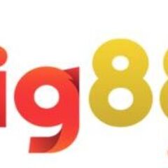 Big88 fashion's profile picture