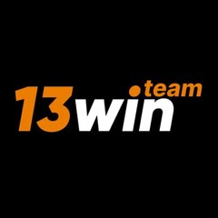 13win team's profile picture