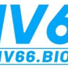MV66 bio's profile picture