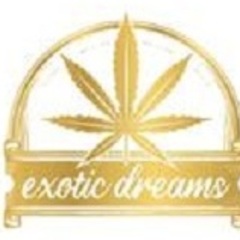 Exotic  Dreams's profile picture