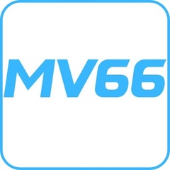mv66 nl's profile picture
