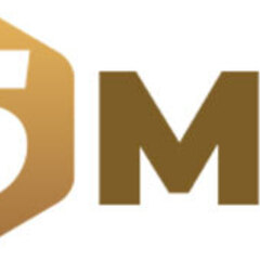 5MB onl's profile picture