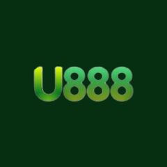 U888 brbrcom's profile picture