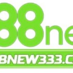 888New333  Com's profile picture
