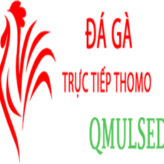 daga qmulsed's profile picture