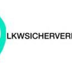 Lkwsicherver Kaufen's profile picture