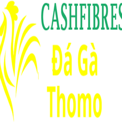 daga cash's profile picture