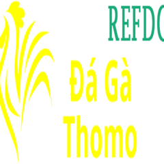 daga refdc's profile picture