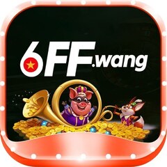 6ff wang's profile picture