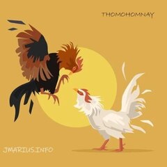 thomohomnayjmarius THOMO's profile picture