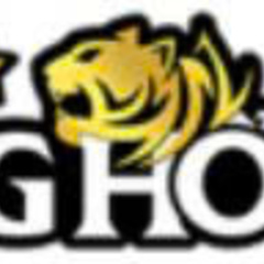 RONGHO99  ORG's profile picture