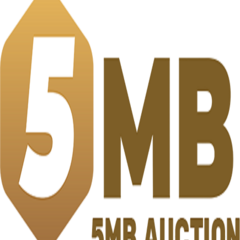 5MB  auction's profile picture