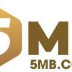 5MB codes's profile picture