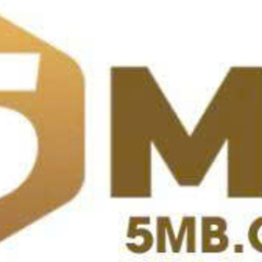 5MB camp's profile picture