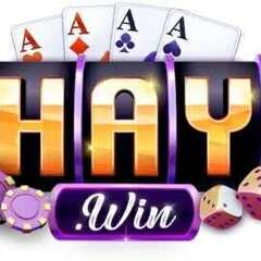 Haywin Sân chơi cá cược uy tín's profile picture