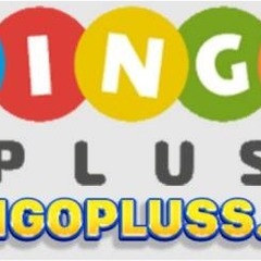 Bookmaker Bingoplus Bingoplus's profile picture