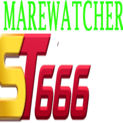 ST666 mare's profile picture