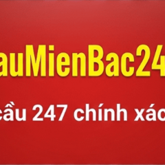 Soi cầu miền Bắc's profile picture