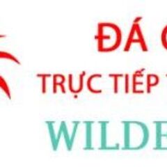 Đá Gà Trực Tiếp Thomo's profile picture