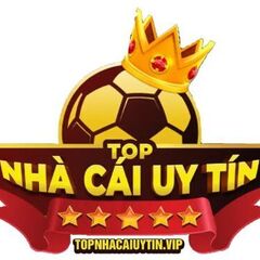 nhacaiuytin vip's profile picture