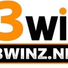 13Win .'s profile picture