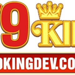 79KING DEV's profile picture