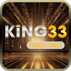 King33  codes's profile picture